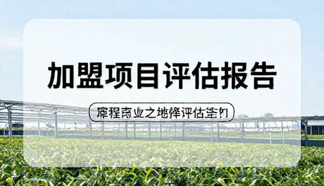 餐饮项目选择：评估与取舍的现实对比