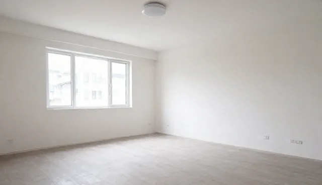 公司的网站:选型建议中的投资分析重点